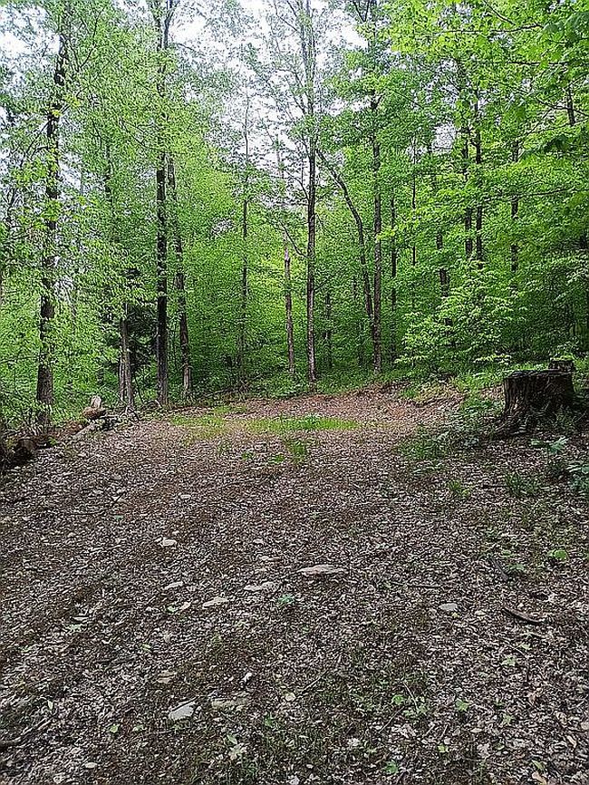 Photo of 316 Bardin Rd, Mount Vision, NY