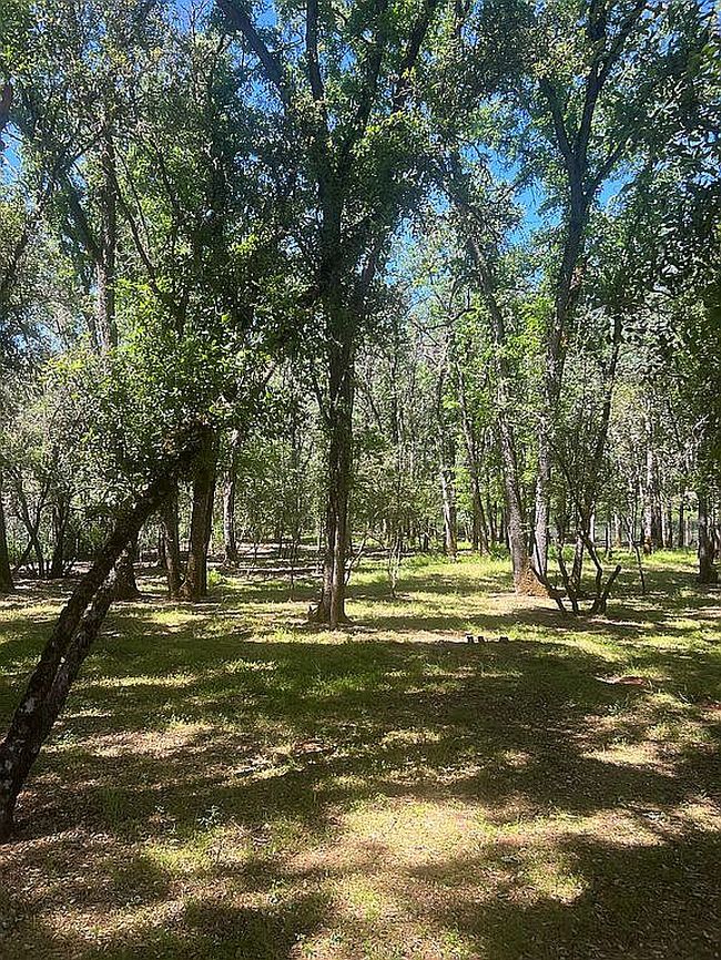 Image of 5723 Inca Way
