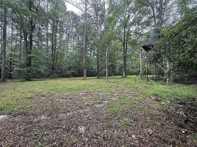 Photo of 303 Newton St, Union, MS