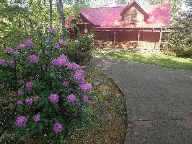 Photo of 115 Martin Rd, Tellico Plains, TN