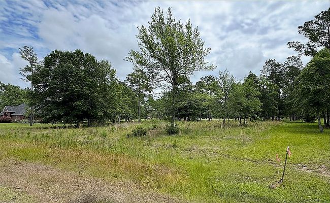Photo of Westlake Dr