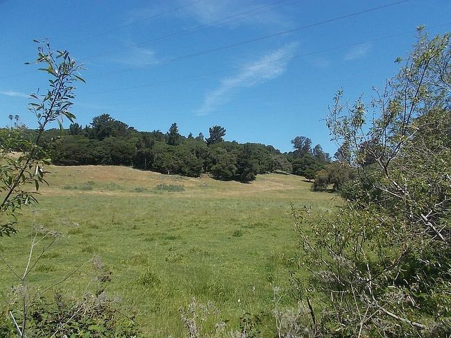 Photo of 0 Holly Hill Dr, Salinas, CA