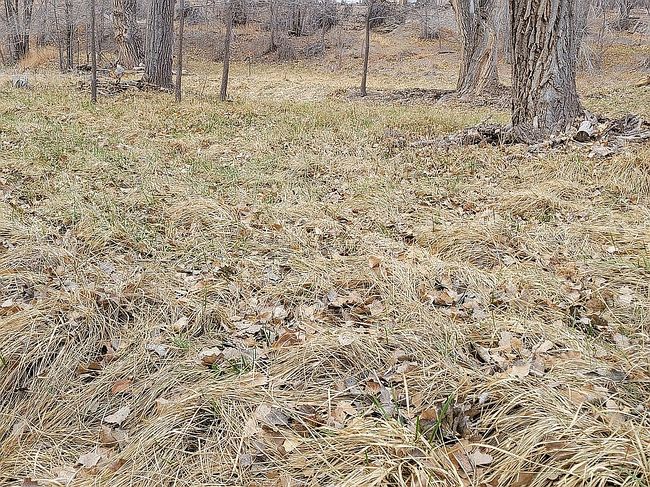 Image of 50 Bent Rd