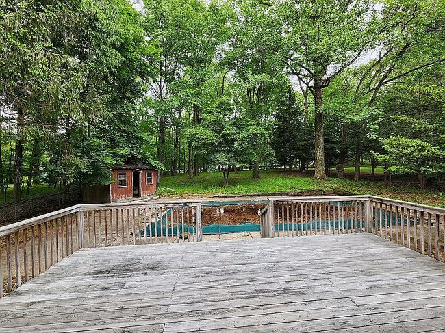 Image of 7 Tulip Ln
