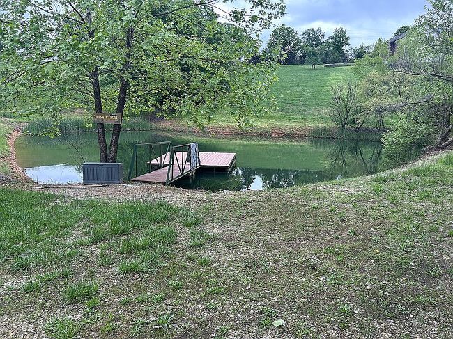 Photo of 289 Rubys Rst, Reeds Spring, MO