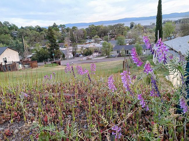 Photo of 7032 Butte St, Nice, CA