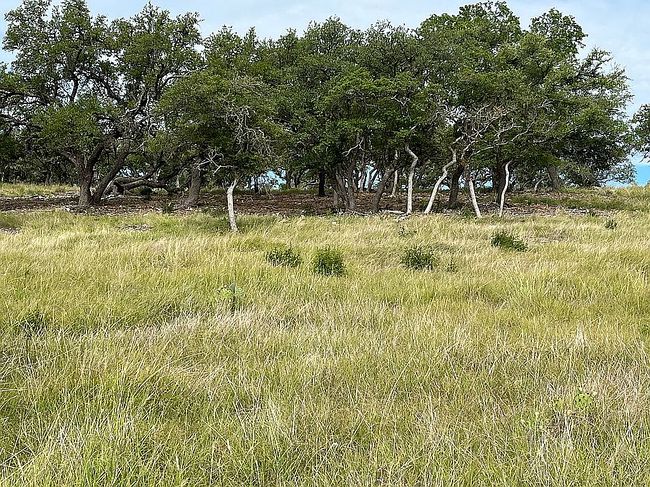 Photo of 11 Cattlemans Crossing Dr, Kerrville, TX