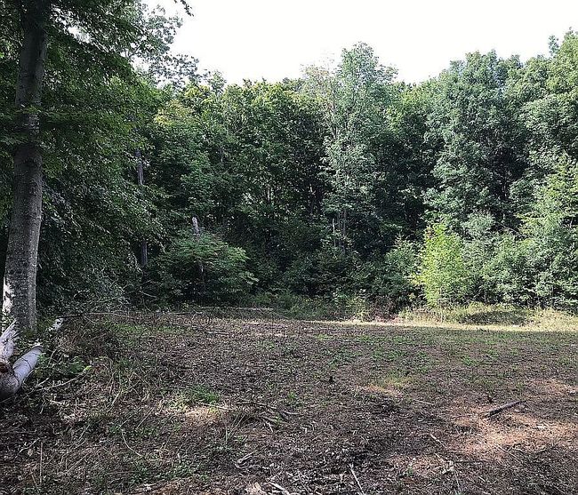 Image of 1560 Milam Clark Rd