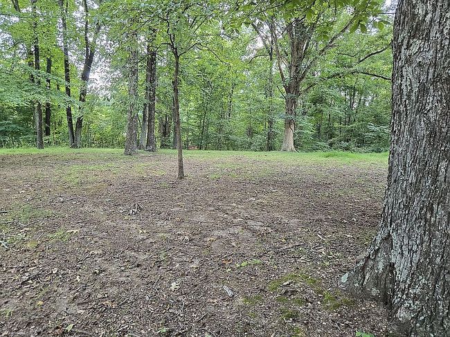 Photo of 590 Great Country Estate Rd, Hawesville, KY