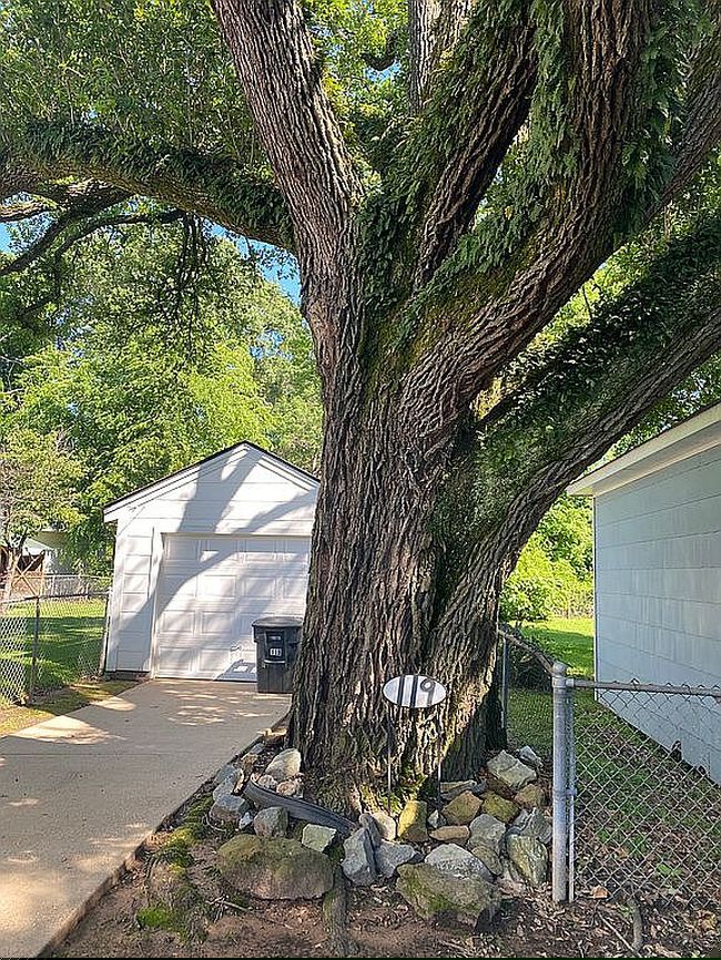 Image of 119 Adger St