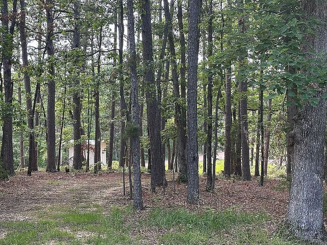 Image of 351 County Road 205