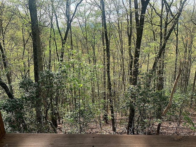 Image of 1788 Younce Creek Rd