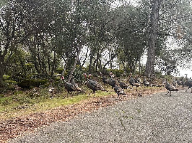 Photo of 4696 Hawaina Way, Kelseyville, CA