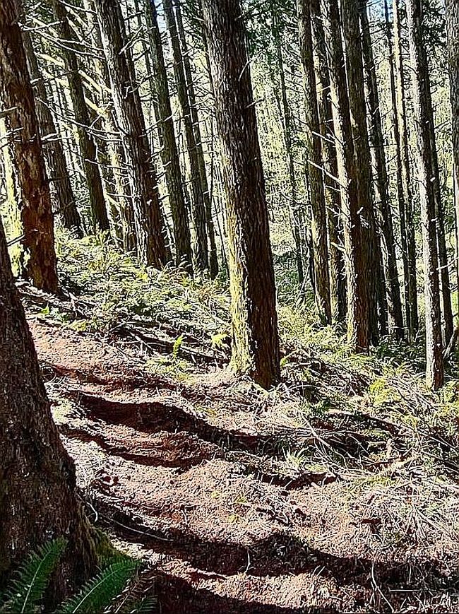 Image of 2678 Drift Creek Rd Ne