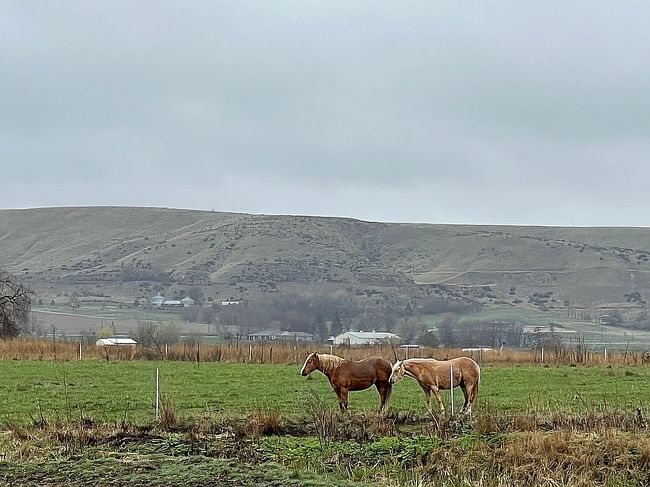 Photo of 9220 Mallard Ln, Emmett, ID