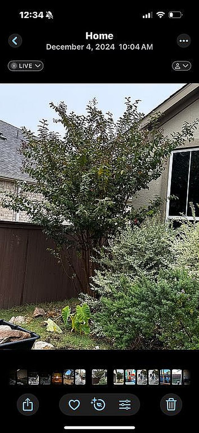 Photo of 305 Verbena Dr, Marble Falls, TX