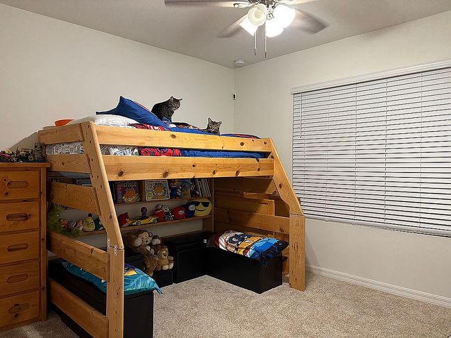 Image of 3019 Staten Dr