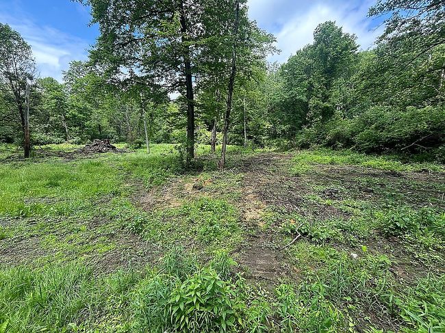 Photo of 653 Tannery Hollow Rd, Blairsville, PA