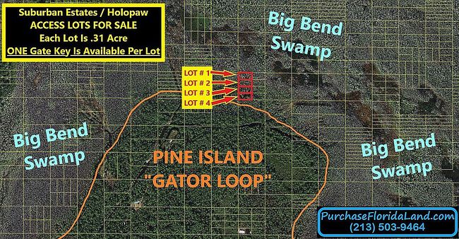 Image of Holopaw Groves Rd