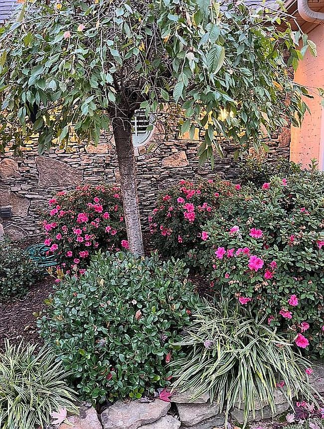 Image of 670 Huntington Ln