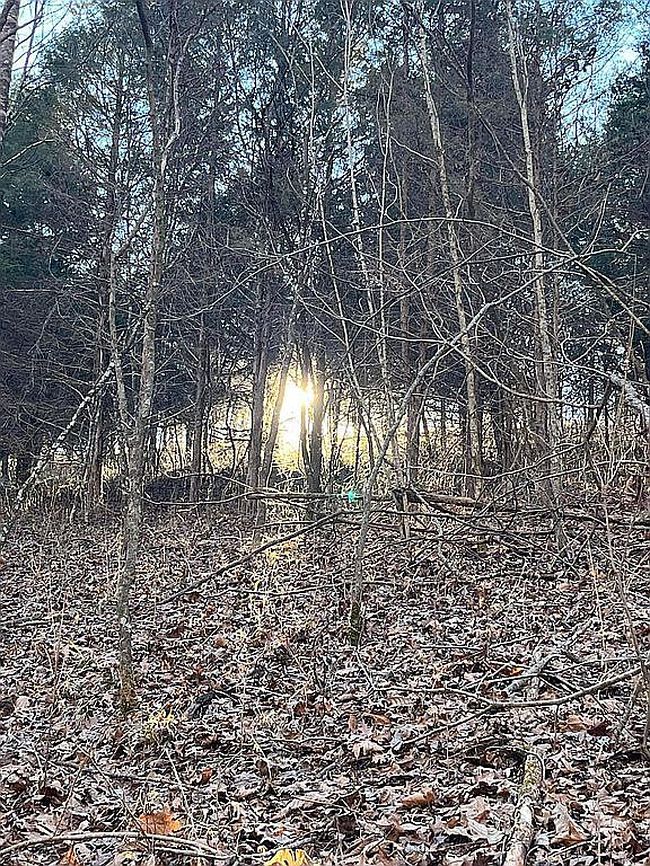 Image of 1536 Rankin Mill Rd