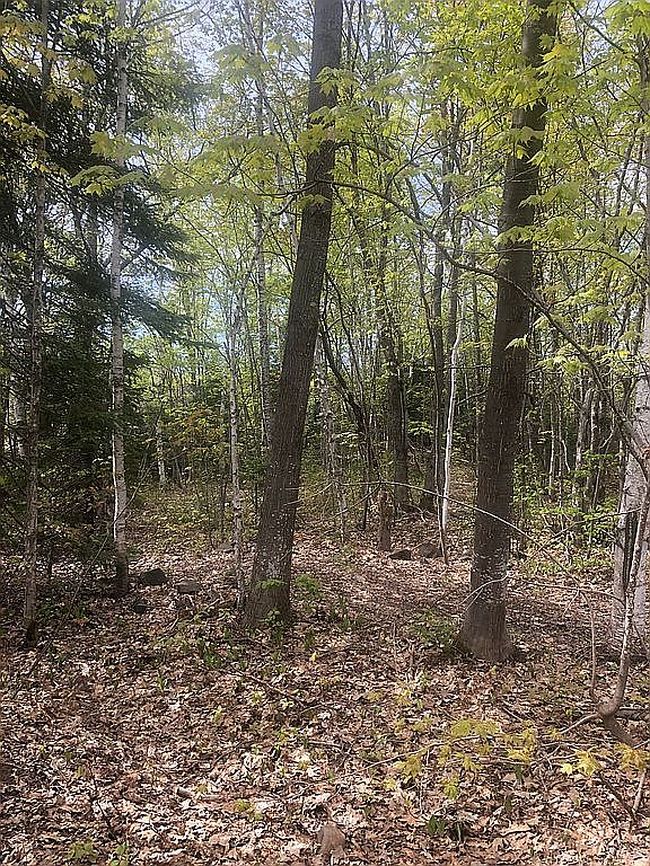 Image of 0 Tecumseh Rd