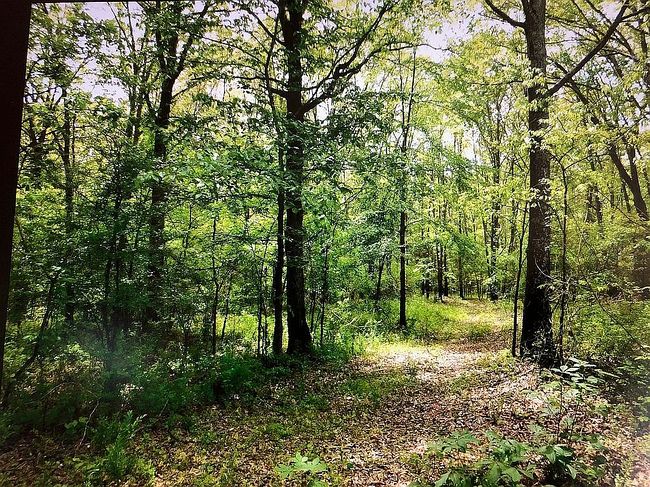 Photo of 473 Highway 63, Ravenden, AR