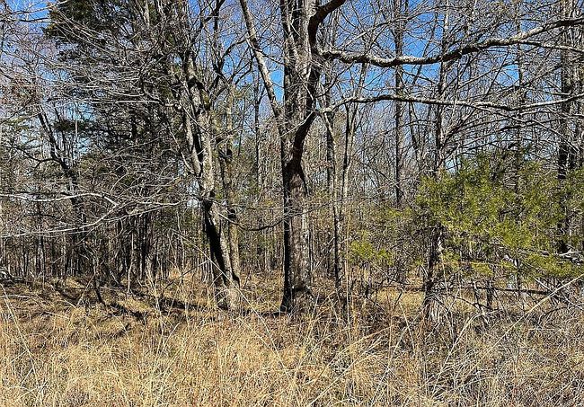 Image of 246 Highway 463