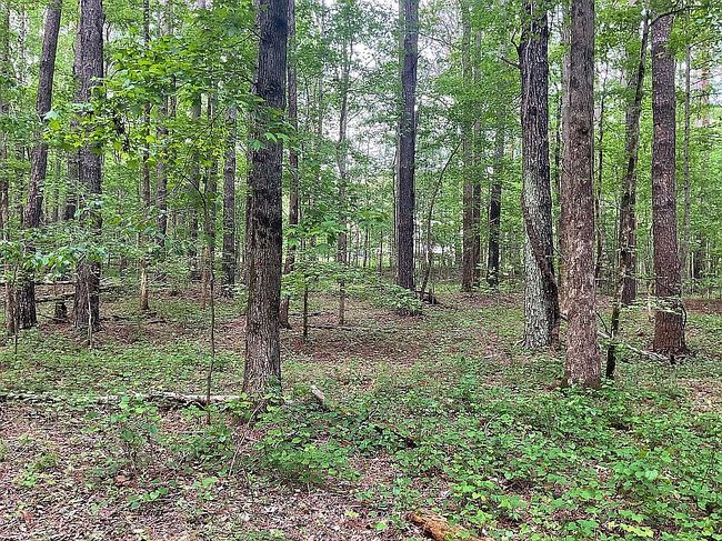 Photo of 1109 Cannon Dr, Social Circle, GA