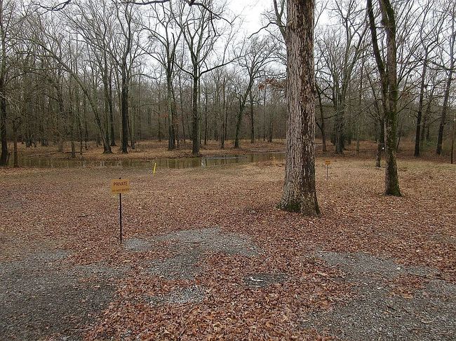 Image of Driftwood Dr