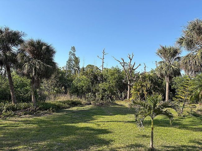 Image of 3628 Tropical Point Dr