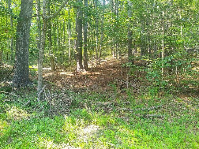 Additional photo of property located at Cabin Rd