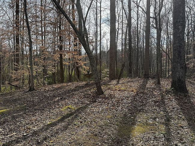 Image of 105 Brookhollow Way
