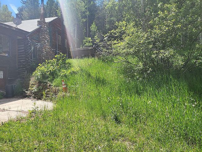 Photo of 11173 S Barney Gulch Rd, Conifer, CO
