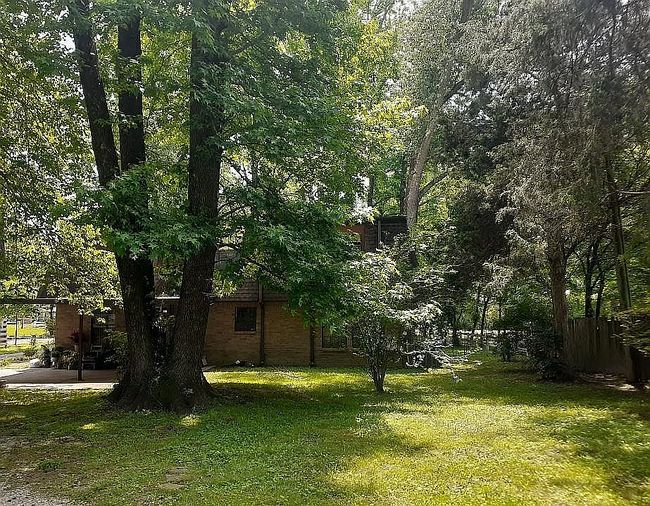 Image of 7164 Cedar Rd