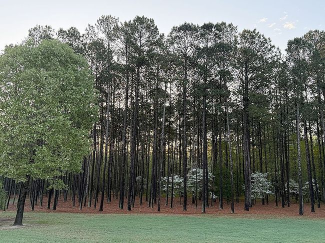 Photo of 2345 Vass Carthage Rd, Carthage, NC