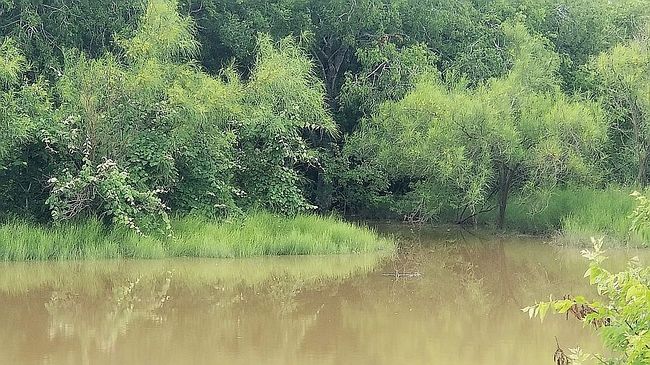 Photo of 1870 W Fm 140 Tract 5025, Jourdanton, TX
