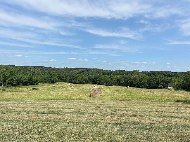 Image of 3896 Us Highway 59
