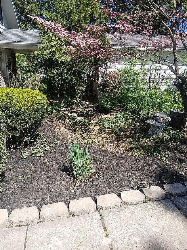 Image of 204 E Walnut St