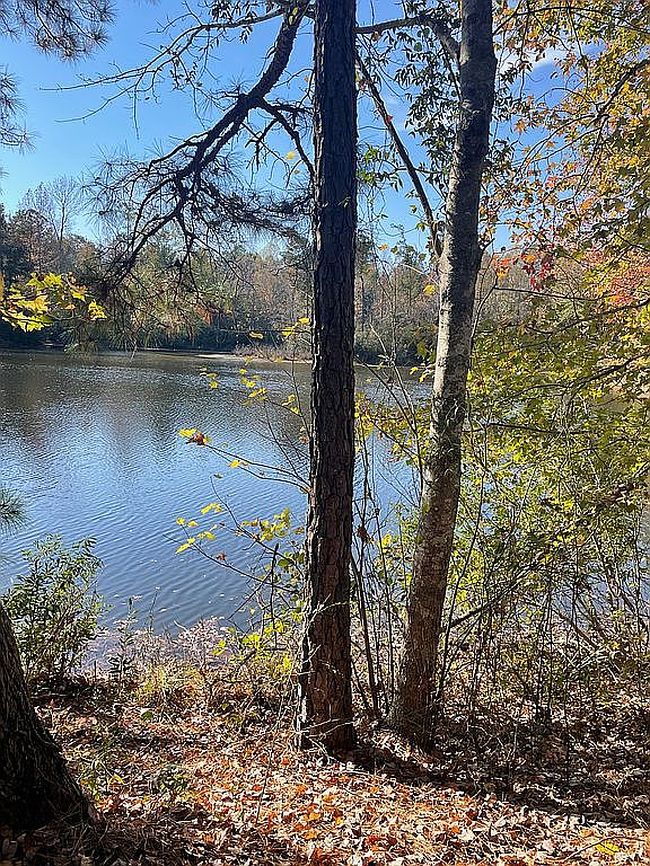 Photo of 130 Sauder Way, Zebulon, NC