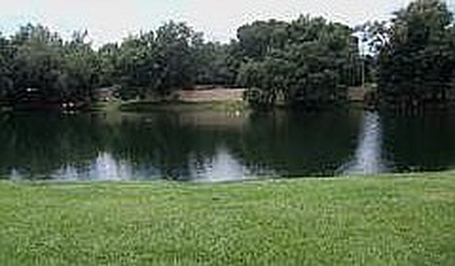 Photo of 1330 Autumn Dr, Tampa, FL