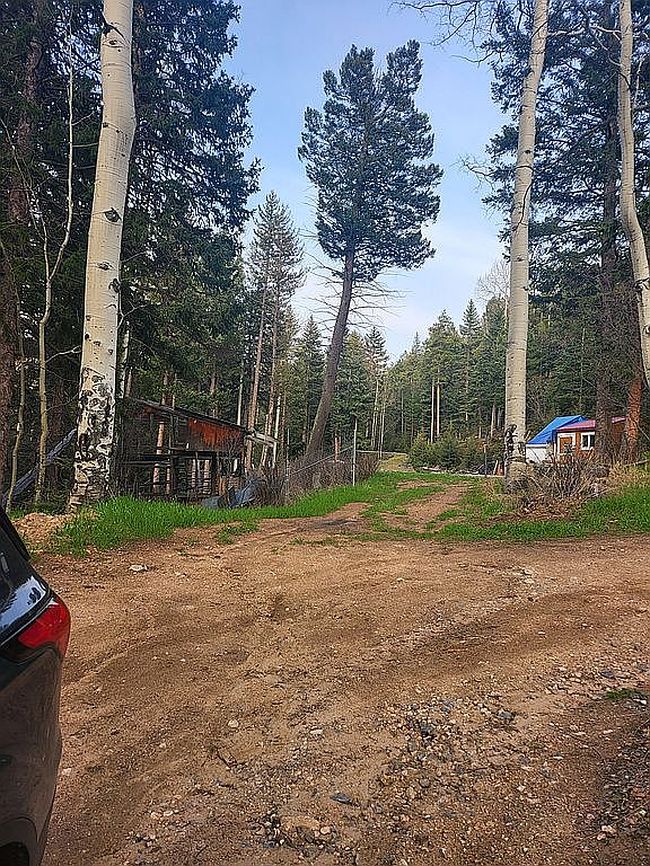 Photo of 11173 S Barney Gulch Rd, Conifer, CO