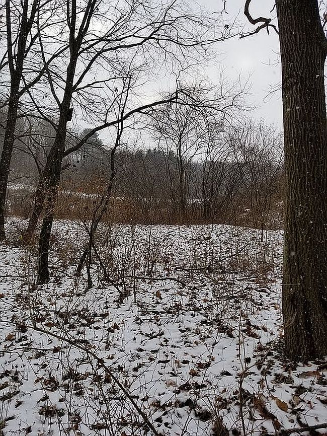 Image of 3011 Wexford Rd