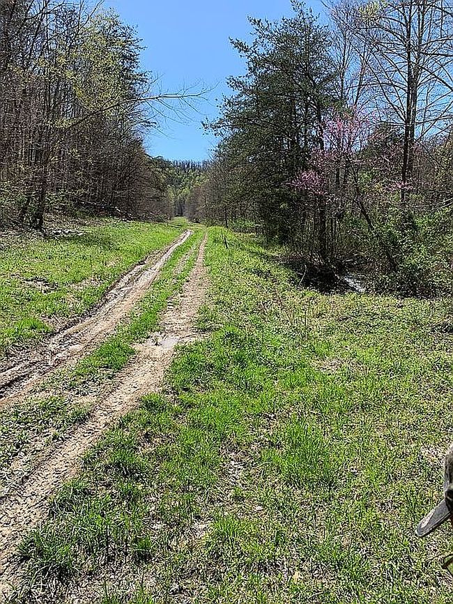 Image of 2865 Pine Grove Rd