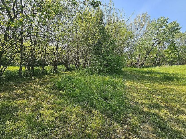 Image of 329 E Missouri Ave