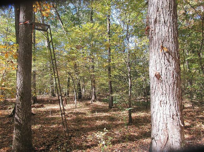 Photo of Driftwood Dr, Sherwood, AR