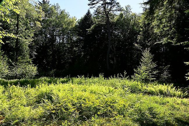 Photo of 862 E Putney Brook Rd, Westminster, VT