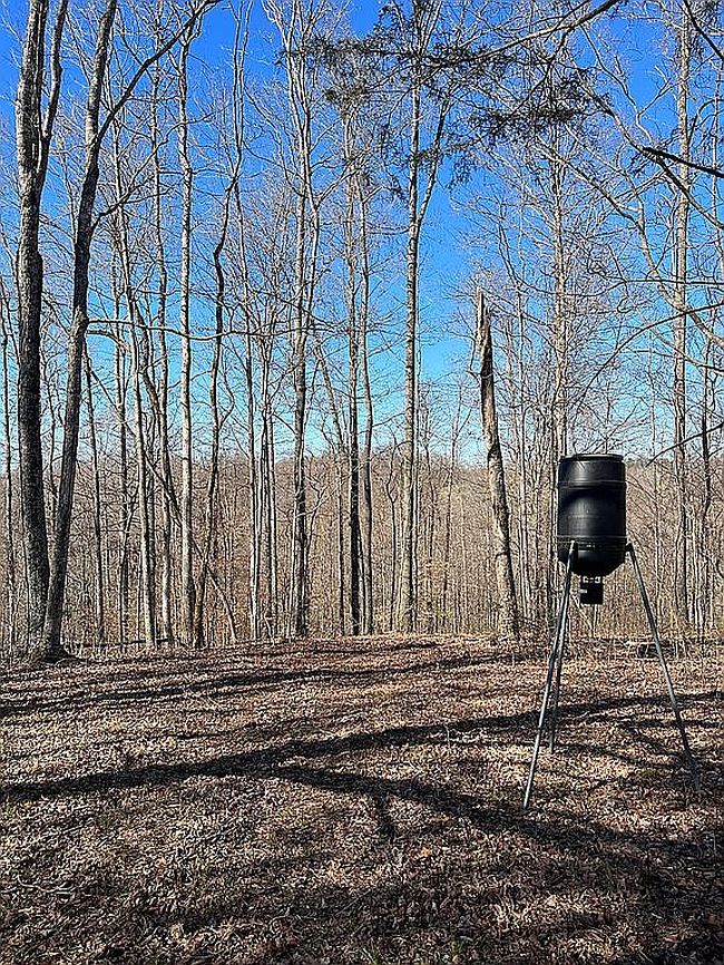 Image of 146 Bf Flatt Rd