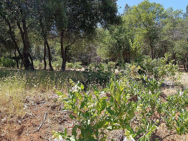 Photo of 3091 Riviera Heights Dr, Kelseyville, CA