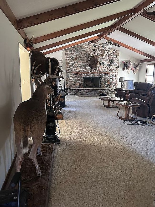 Additional photo 3 of property located at 3803 E 20th St